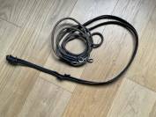 R&ecirc;nes allemandes 