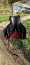 Selle de dressage ALBION SLK 17,5 de 2022