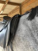 Sella da dressage Passier  17.5" - 2014