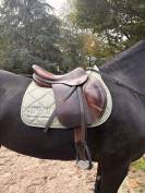 Selle Bruno delgrange 18 pouces