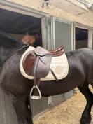 Selle Bruno delgrange 18 pouces