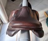 Selle Forestier 16.5 S&eacute;oul 2023 