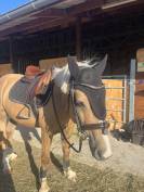 Sella mista Eric Thomas  16.5" - 2015