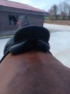 Selle de dressage Darroze 
