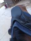 Selle de dressage Darroze 