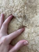 Amortisseur D&eacute;cathlon 