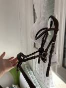 Bridon anatomique marron