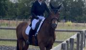 Veste de concours dressage (Frac) Montar