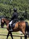 Veste de concours dressage (Frac) Montar