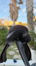 Selle mixte Renaissance 