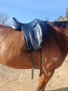 Sella da dressage Forestier  17.5" - 2021