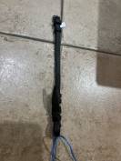 Lire texte &Eacute;quitation cheval chien cuir muserole 