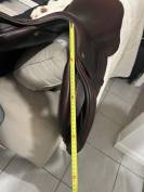 Sella da salto ostacoli CWD  17.5" - 2018