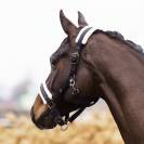 Licol Jewel - IMPERIAL RIDING - Softshell respirant