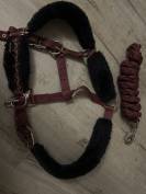 Licol en moumoute 