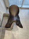 Selle ikonic mixte comfort 17"