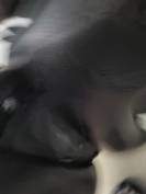 Selle wintec noir 17 ́.5 