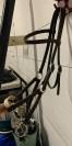 Bridon SidePull Cheval
