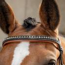 Bridon cuir anatomique Black Cognac - Harrys Horse - Finition croco