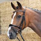 Bridon cuir anatomique Black Cognac - Harrys Horse - Finition croco