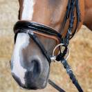 Bridon cuir anatomique Black Cognac - Harrys Horse - Finition croco