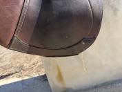 Selle Tattini  CSO 17,5 pouces