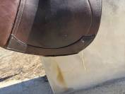 Selle Tattini  CSO 17,5 pouces