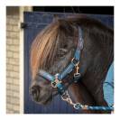 Licol et longe Equestrian Society - Harrys Horse - Imprim&eacute; int&eacute;gral