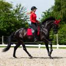 Tapis de selle Oakleigh - QHP - Rouge profond avec strass