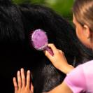 Brosse &agrave; crins Rosalynn Cheery Pink - QHP