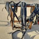 Harnais synth&eacute;tique