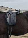 Sella da dressage Butet  17" - 2014