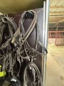 Harnais d&rsquo;attelage en paire