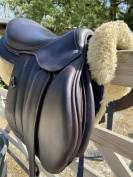 Selle Forestier S&eacute;oul 2024 