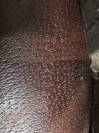 Selle Prestige, Meredith l Loisirs, 17" - 34 