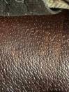 Selle Prestige, Meredith l Loisirs, 17" - 34 