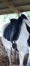 Selle dressage devoucoux 17,5