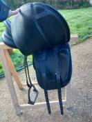 Prestige X-Optimax Dressage &ndash; 17 &ndash; Arcade 33