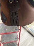 Selle antares connexion 2022 