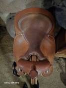 Selle pool&rsquo;s 2010