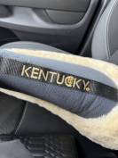 Amortisseur de dos cheval mouton synth&eacute;tique Absorb 