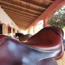 Sella mista Forestier  17.5" - 2018