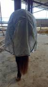 Couverture anti mouche Horse Ware 