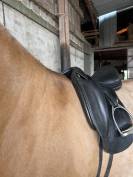 Selle de dressage Equipe