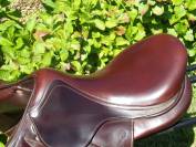 Selle Antares Monoquartier 17'5