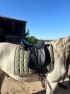 Selle de dressage Devoucoux Malika