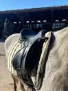 Selle de dressage Devoucoux Malika