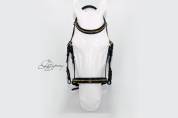Cabezada anat&oacute;mica clincher Lazypony/ Clincher bridle