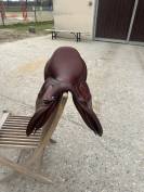  Selle Devoucoux Biarritz LAB 17&rdquo; &ndash; Double veau &ndash; 2023