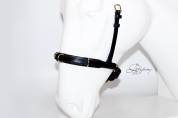 Academic cavesson noseband Lazypony / Muserola cavesson